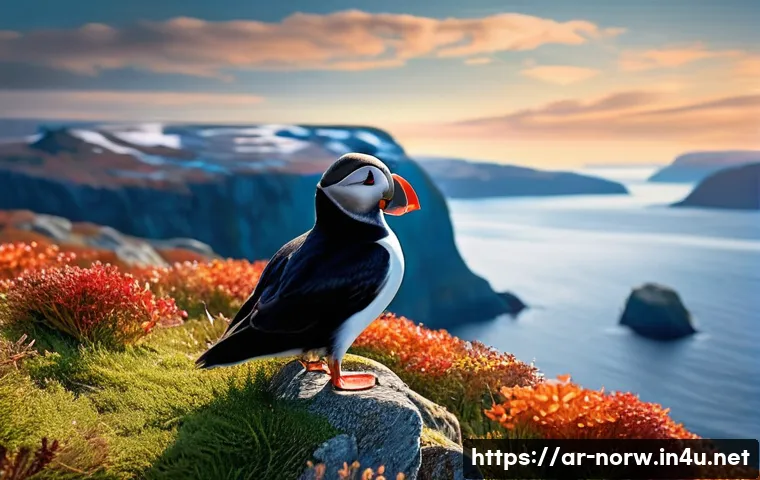 جزر النرويج السحرية غير المأهولة 5 أسرار للحفاظ على كنوز الطبيعة البكر 3 노르웨이의 무인도와 자연 보호 관련 이미지 1