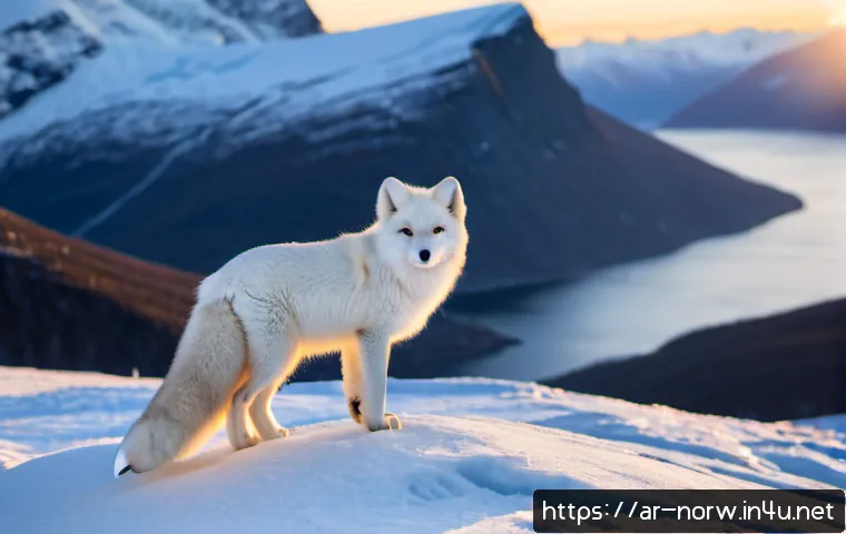 노르웨이에서 볼 수 있는 야생동물 - Photorealistic Arctic fox in its thick white winter coat standing on a pristine snowy ridge in north...